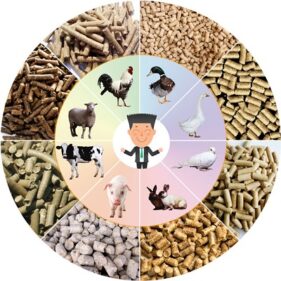 animal feed nutrition