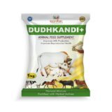 dudhkandi +