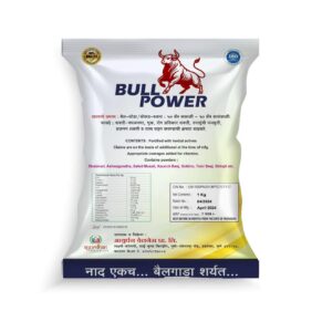 dudhkandi bull power backside