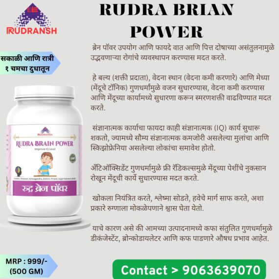Rudra Brain Power