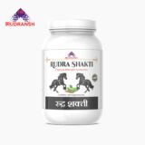 rudra shakti