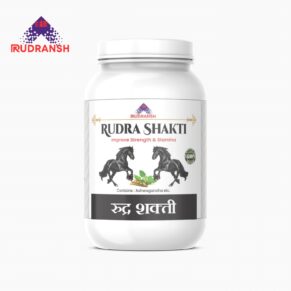 rudra shakti